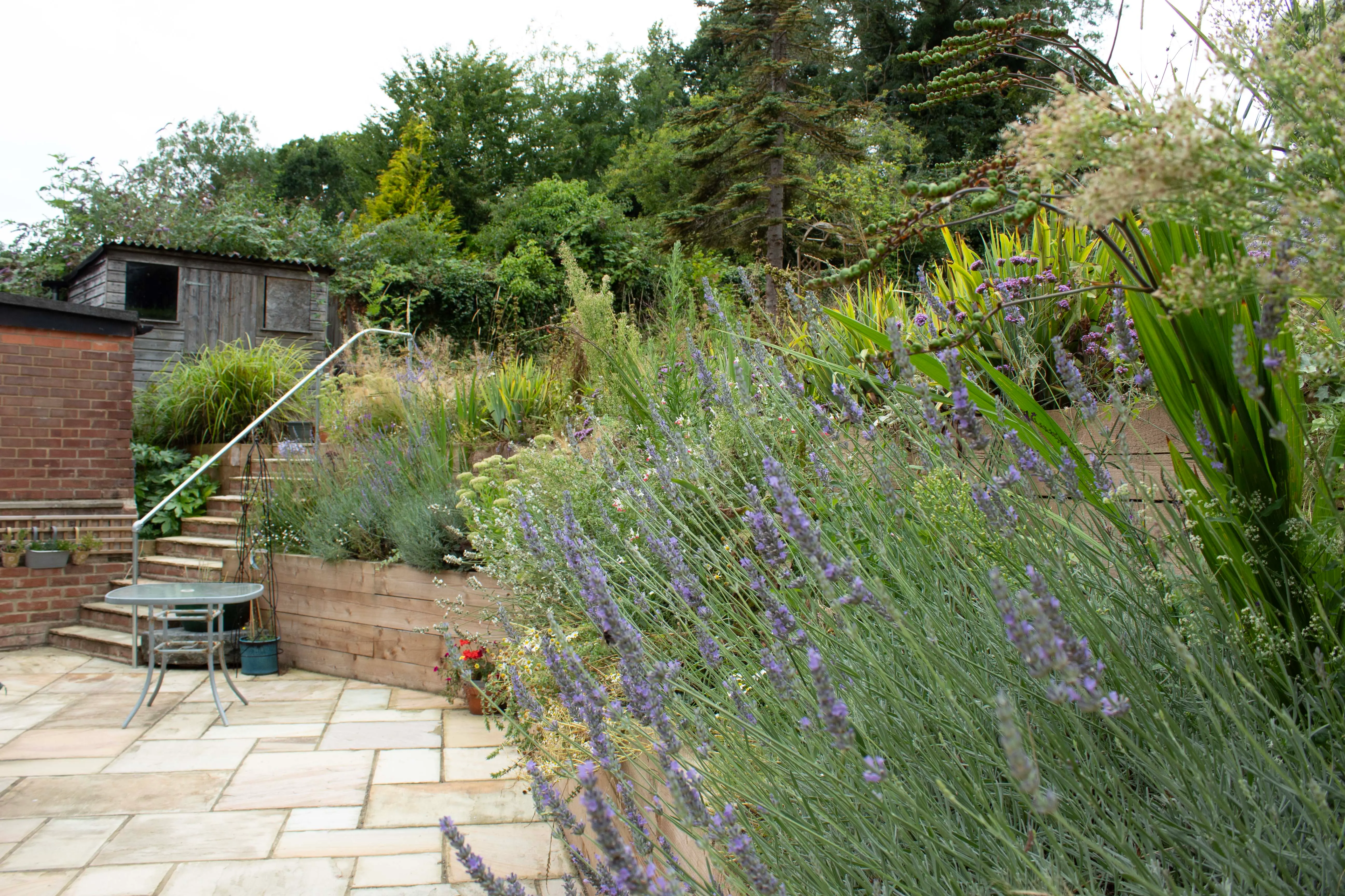 A lush garden with greenery, shrubs, and a stone path, leading to a wooden structure in the background.