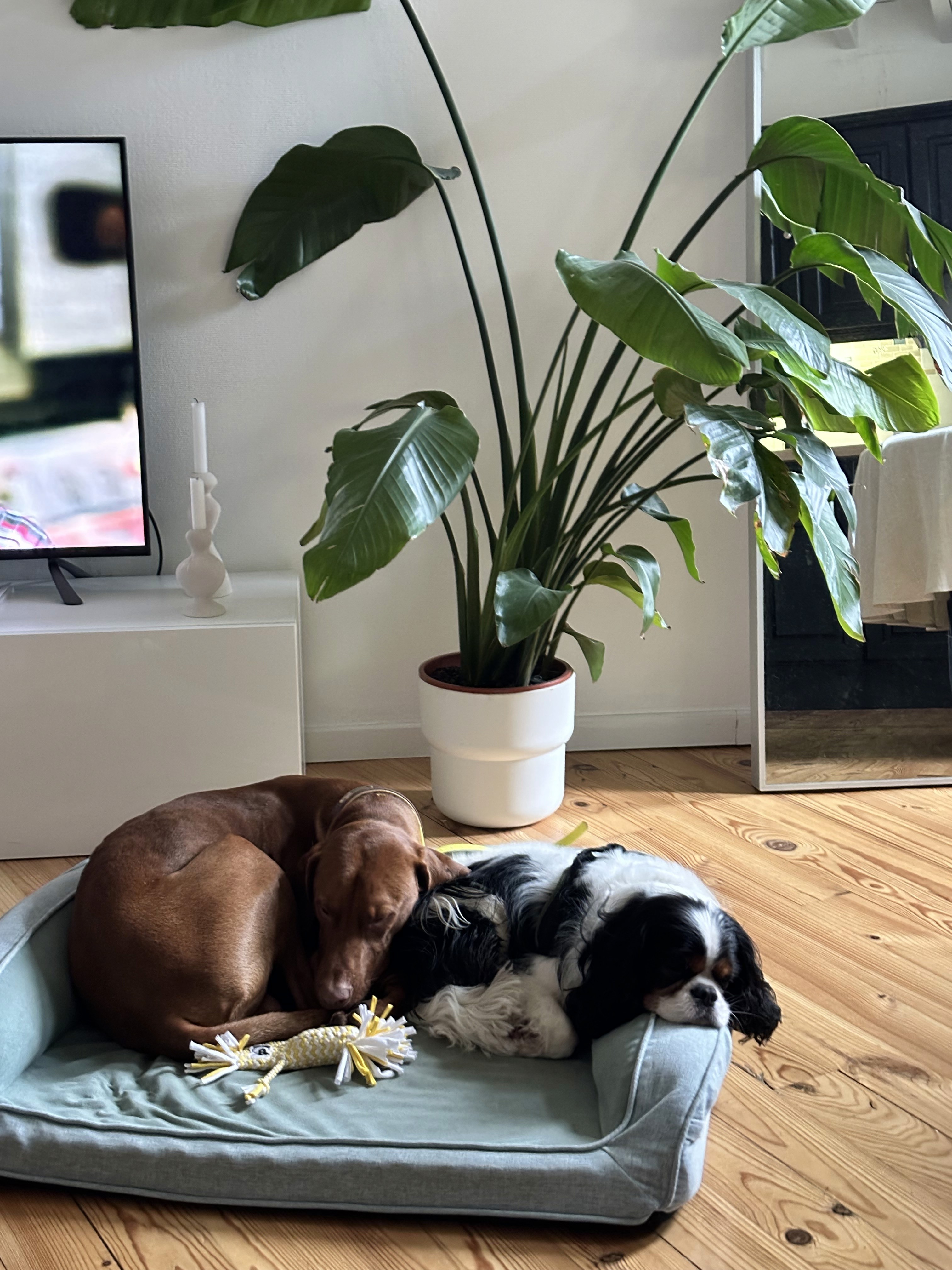 Una&Co Photo Garde à Domicile