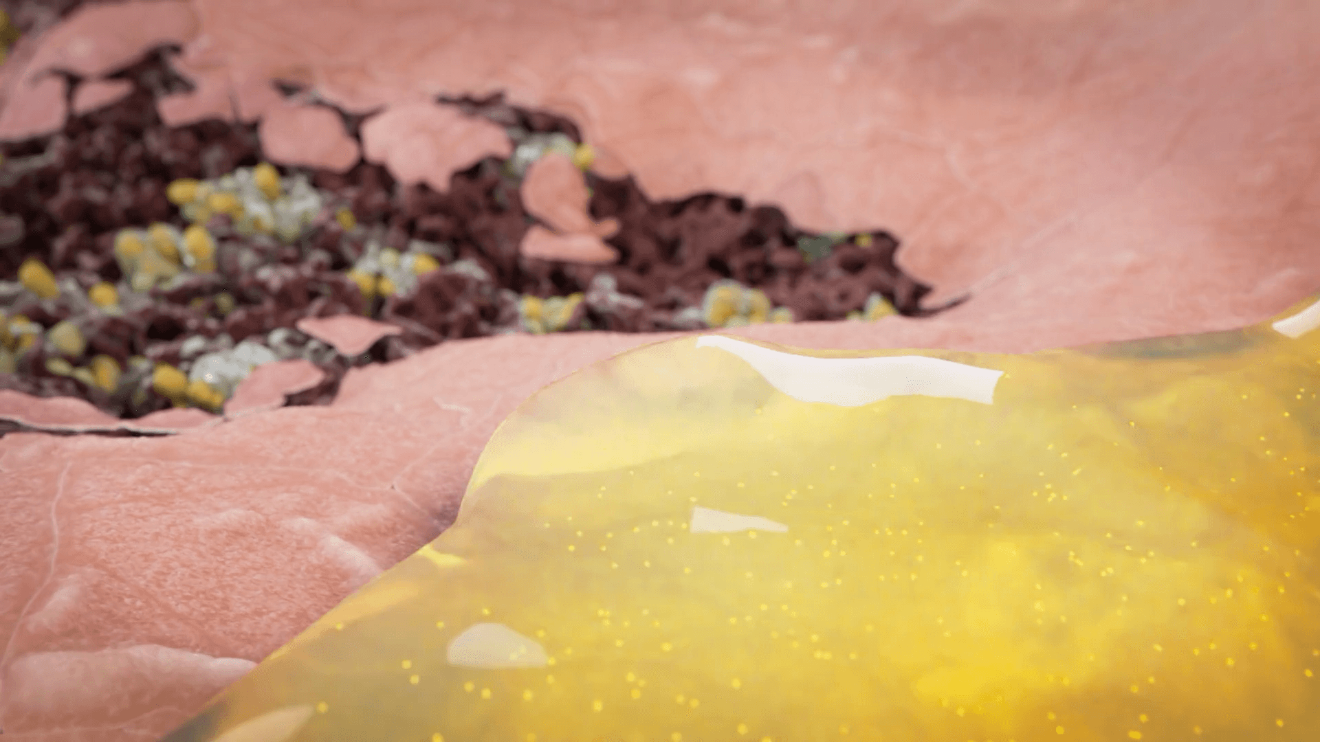 Bromelain molecule in the enzyme mixture