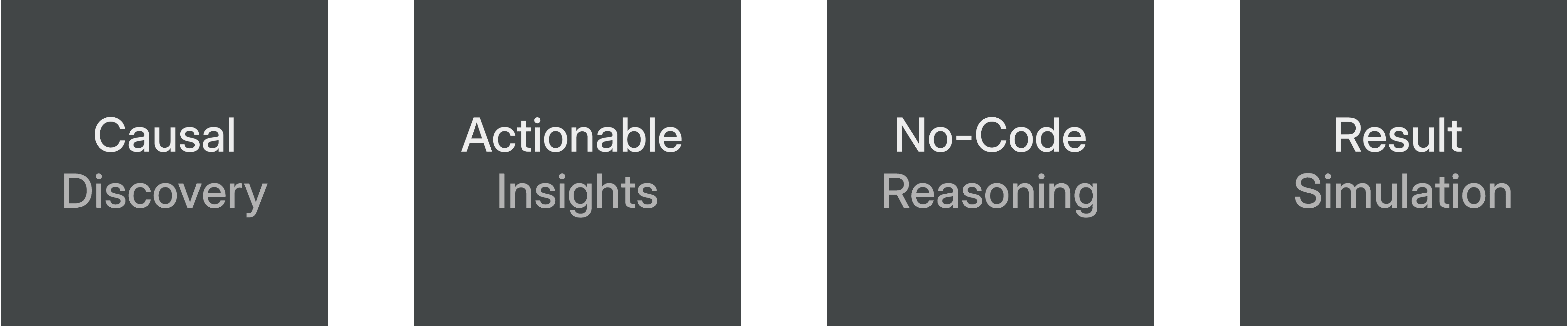 Causal Discovery Model