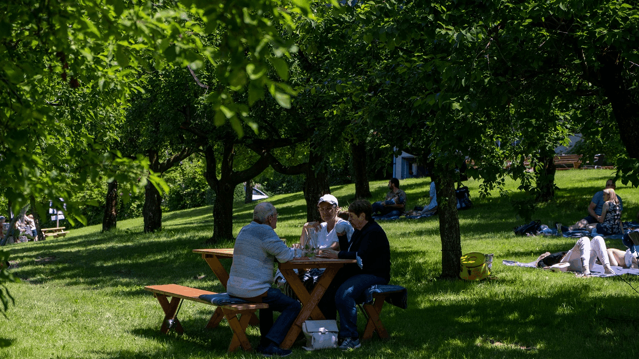 Gemütliches beisammensein beim Picknick im Obstgarten