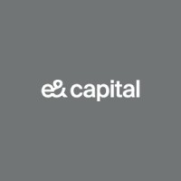 Logo of e& capital