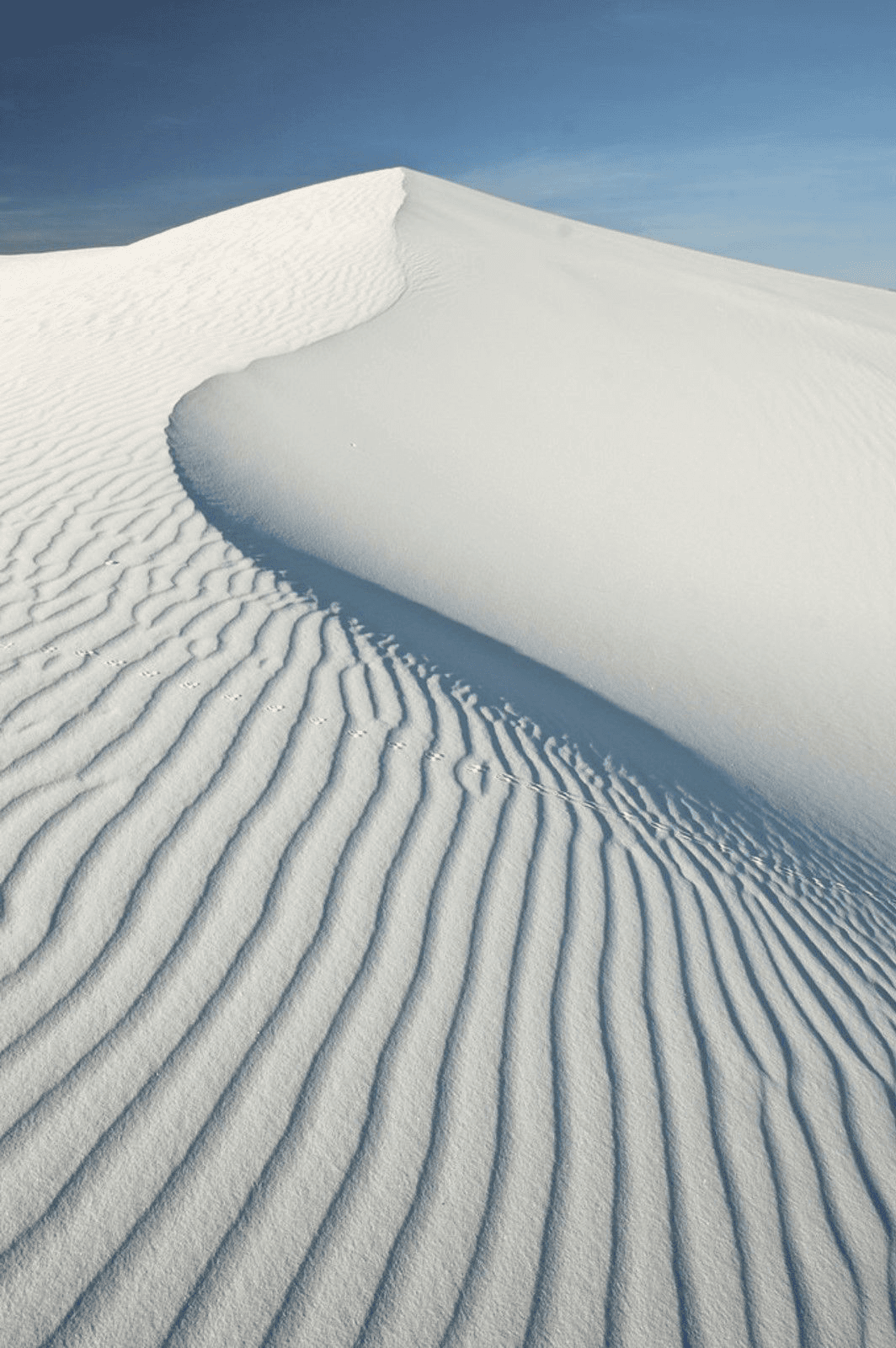 Inspiration Image - Sand Dunes