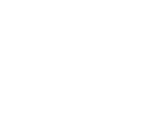 Dummy logo