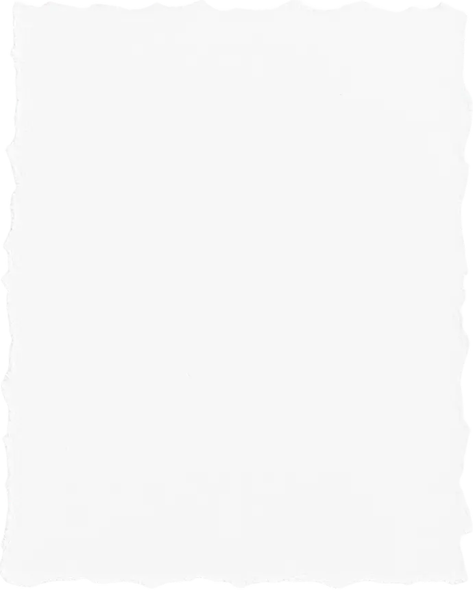 Онлайн-лекция по таргетингу с доступом через почту