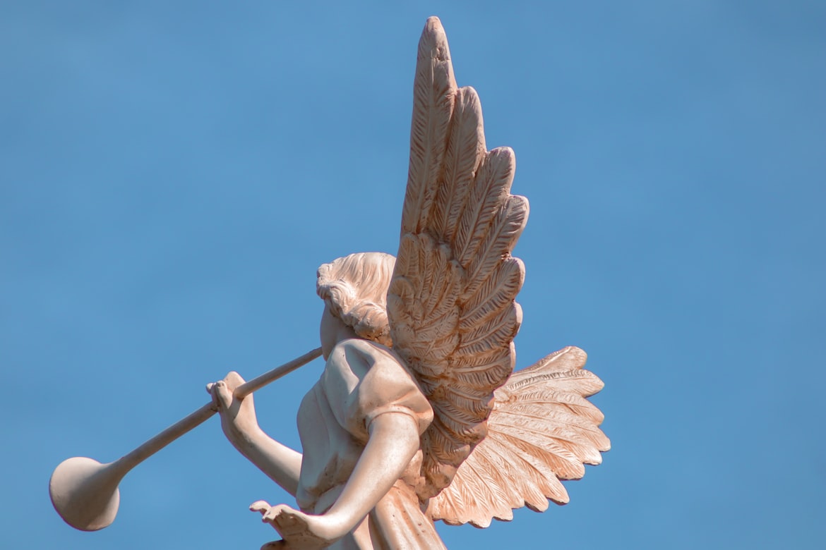 https://images.unsplash.com/photo-1633654151312-af33edce5331?q=80&w=1170&auto=format&fit=crop&ixlib=rb-4.0.3&ixid=M3wxMjA3fDB8MHxwaG90by1wYWdlfHx8fGVufDB8fHx8fA%3D%3D
