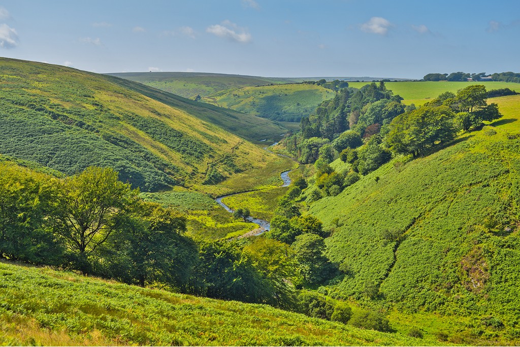 Rolling green valley with a winding river symbolising long-term stewardship, continuity, and responsible wealth preservation.