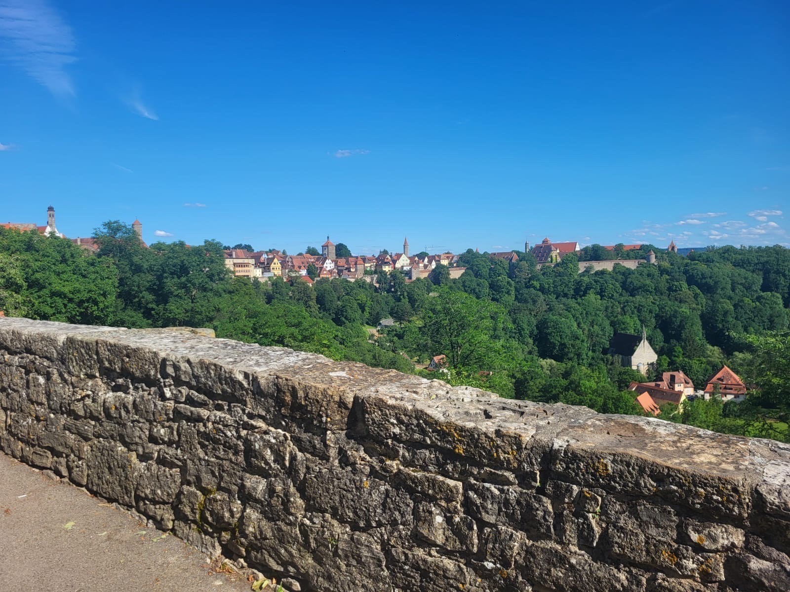 Stadtmauer im Stadtgarten