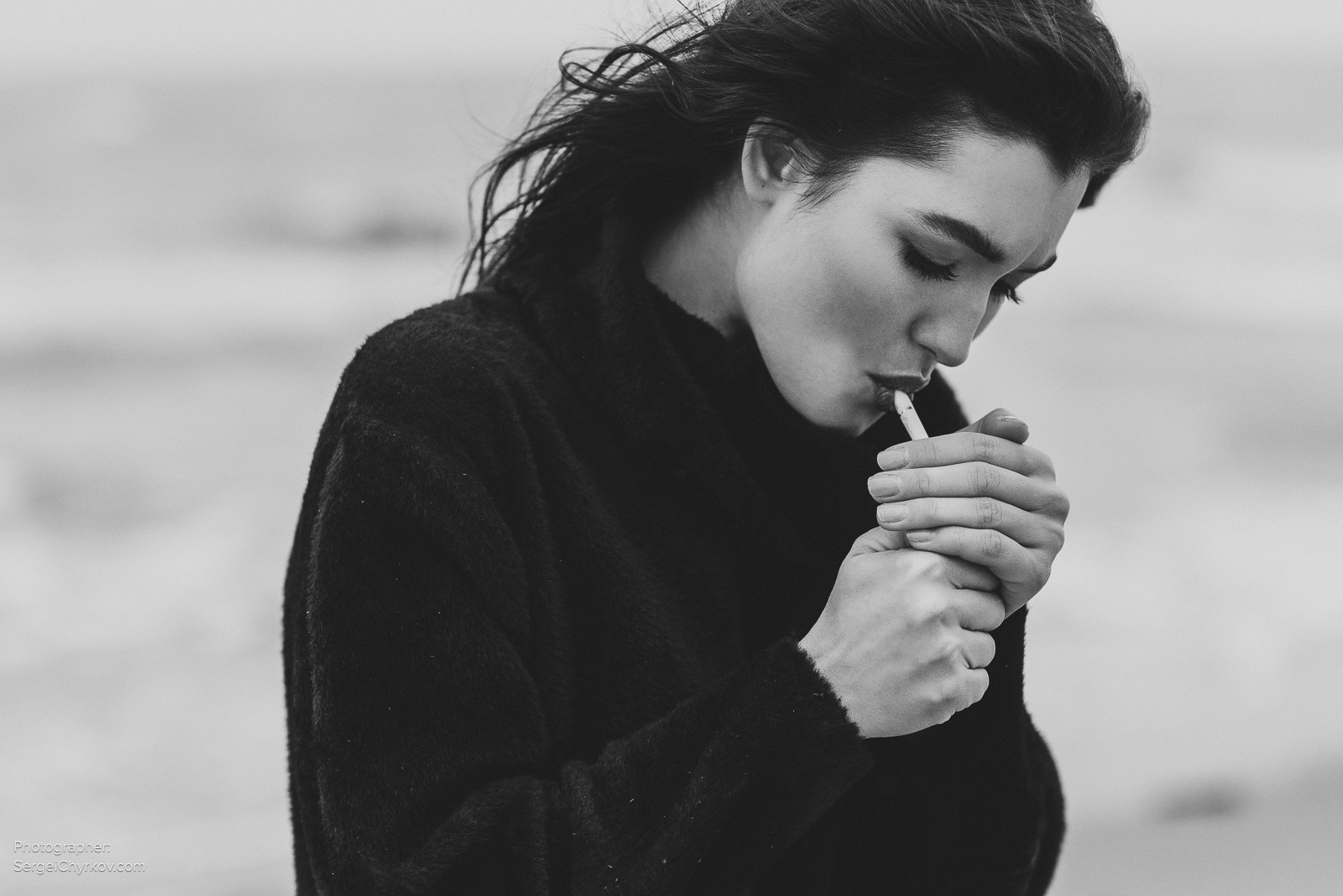 Seagulls by Sergei Chyrkov