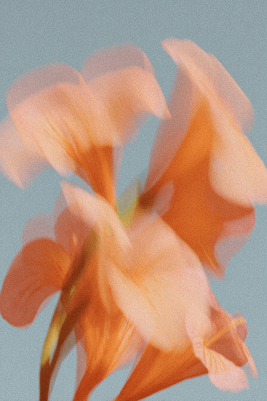 desktop illustration