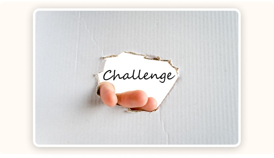 Managing Challenges in Toy Dropshipping