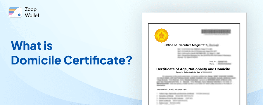 What is Domicile Certificate  [Required Document, How to Apply & Download Online]