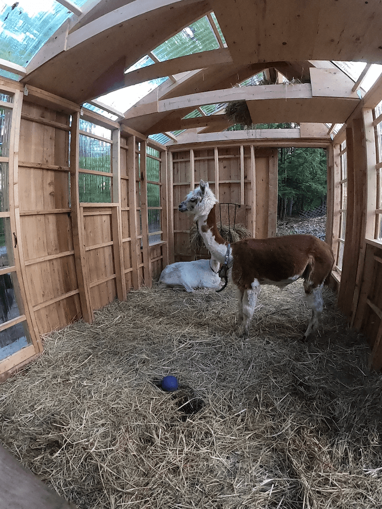 She likes her new house.