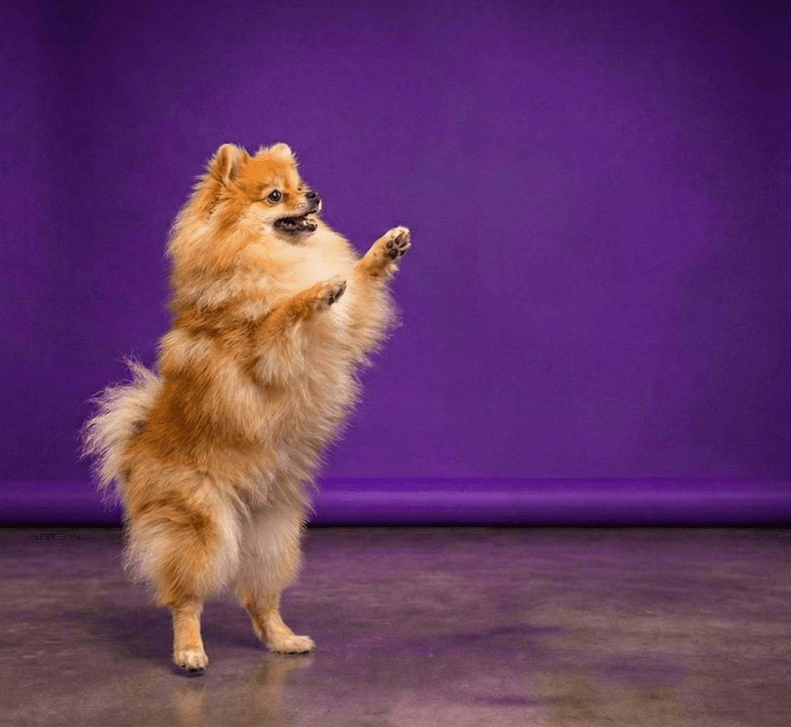 A kid practicing surfing