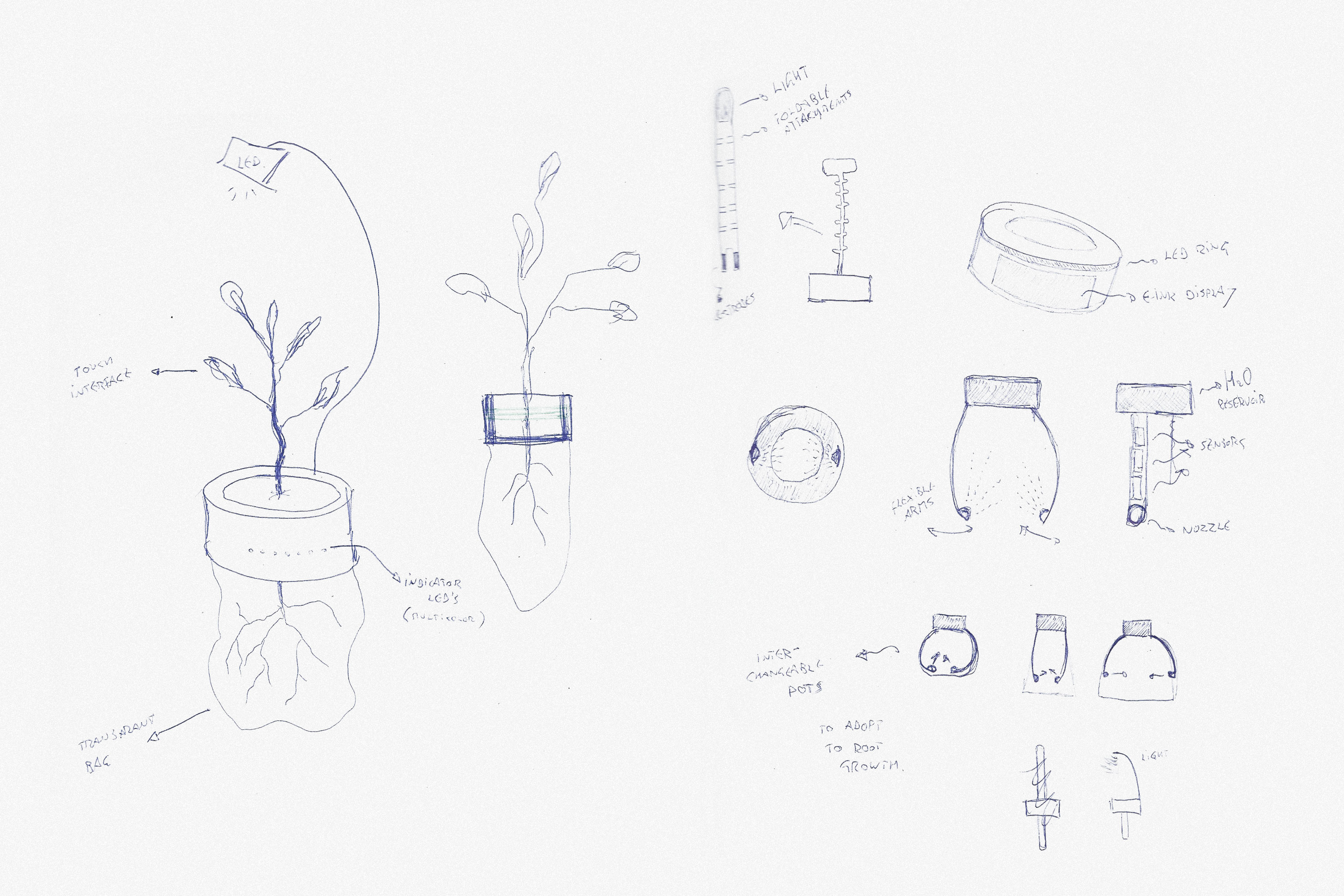 sketch of spaceplant project