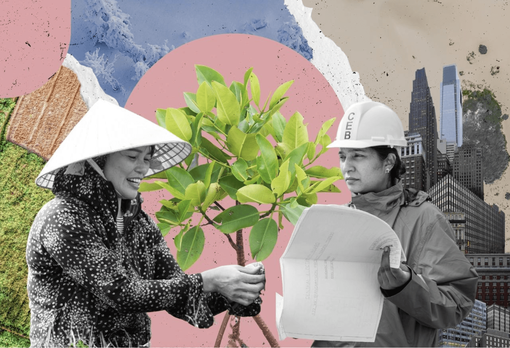 Women. Adaptation. Climate Change