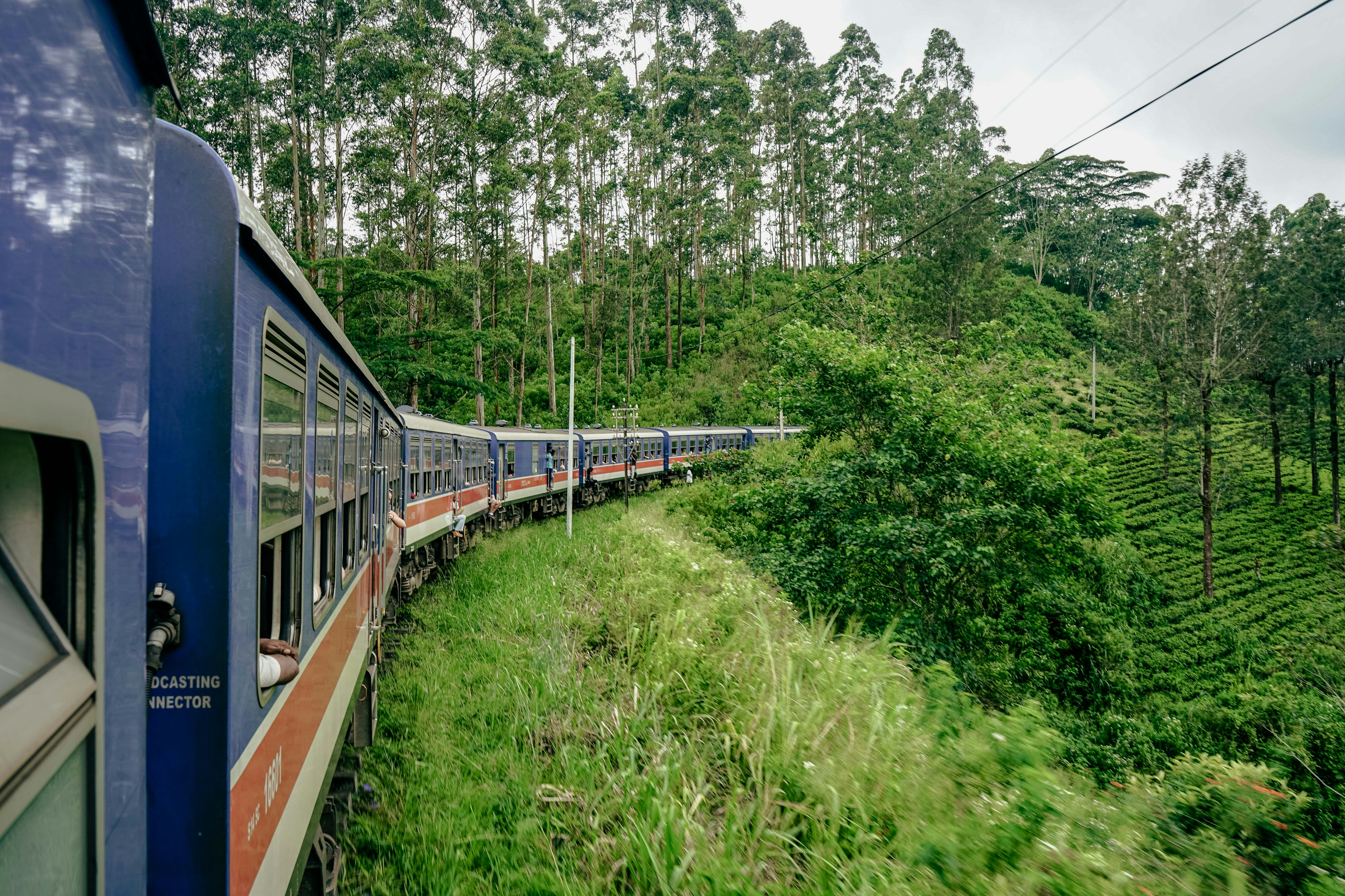 The iconic blue train traveling through the lush green hills from Ella to Kandy in Sri Lanka