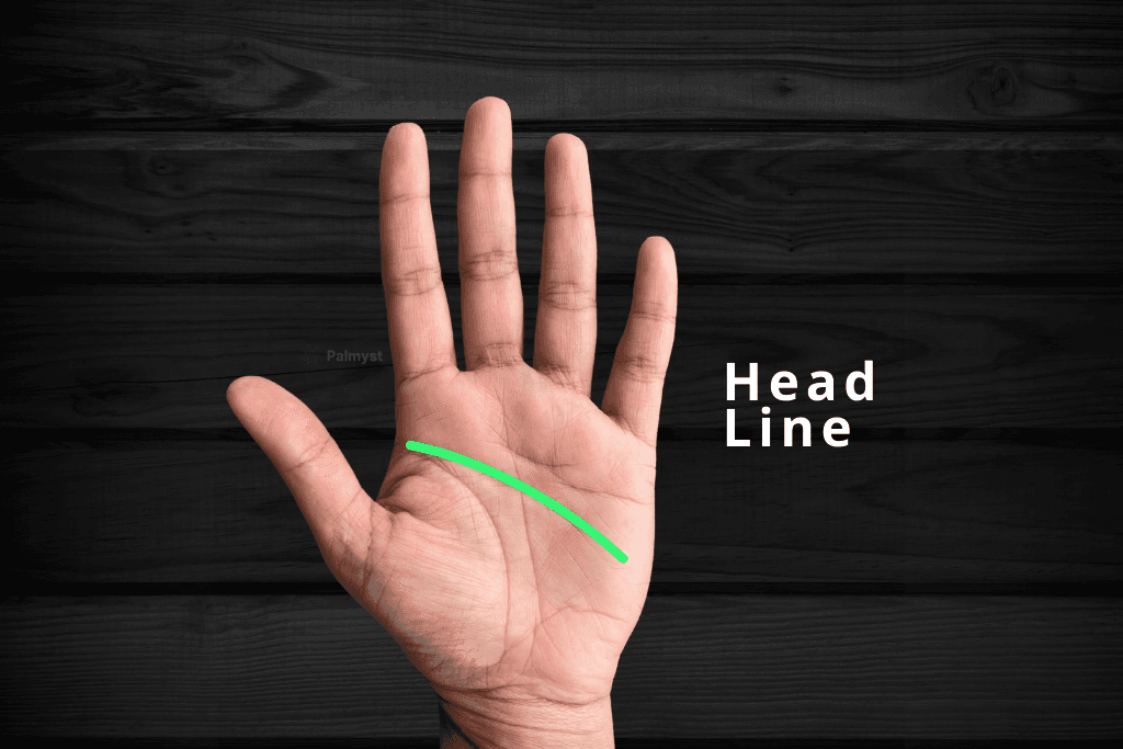 Head Line in Palm Reading - Palmyst