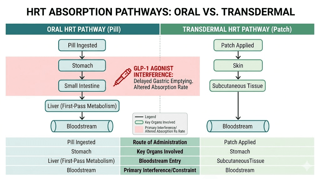 Oral versus transdermal HRT absorption with GLP-1 medications