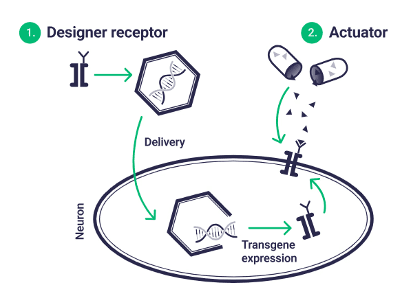 An illustration showing how CREATe platform works