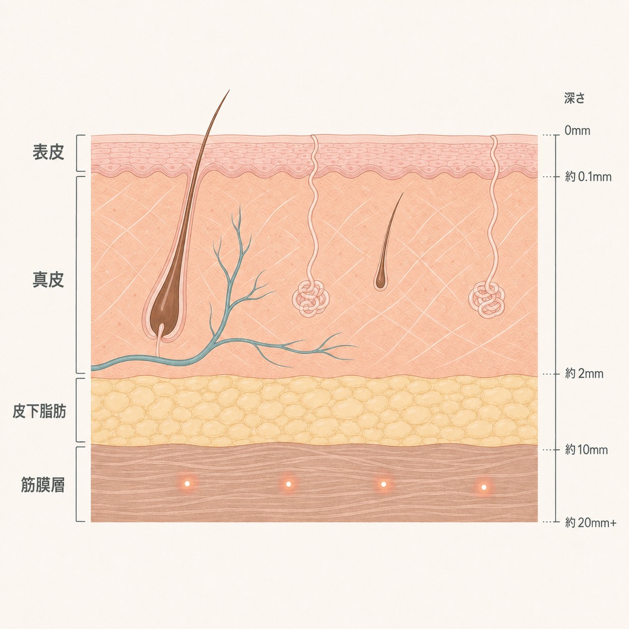 シュリンクの効果が弱く感じられるとき、まず考えてみたいこと