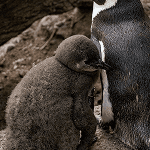 Atsiliepimas apie paslaugas