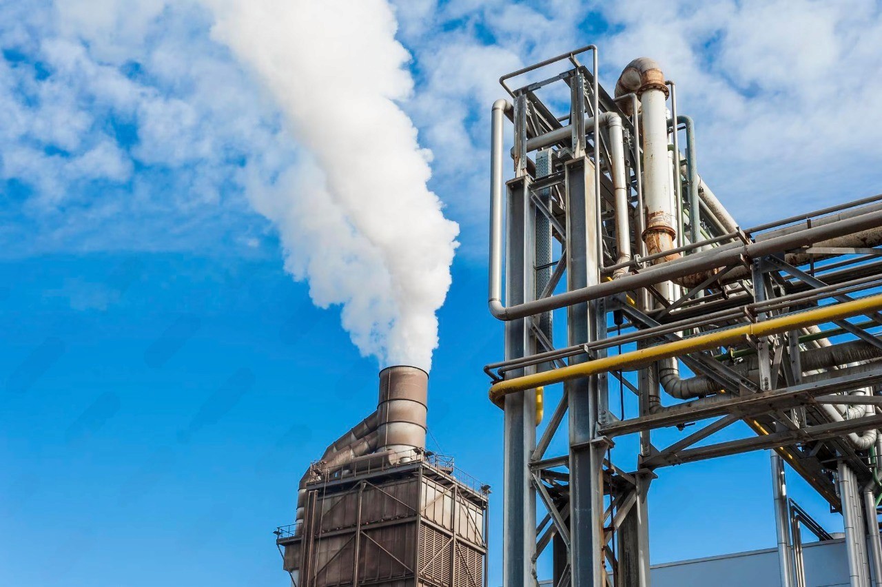 woman in brown coat using macbook air