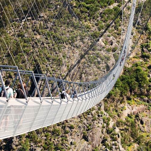 穿越516阿罗卡大桥