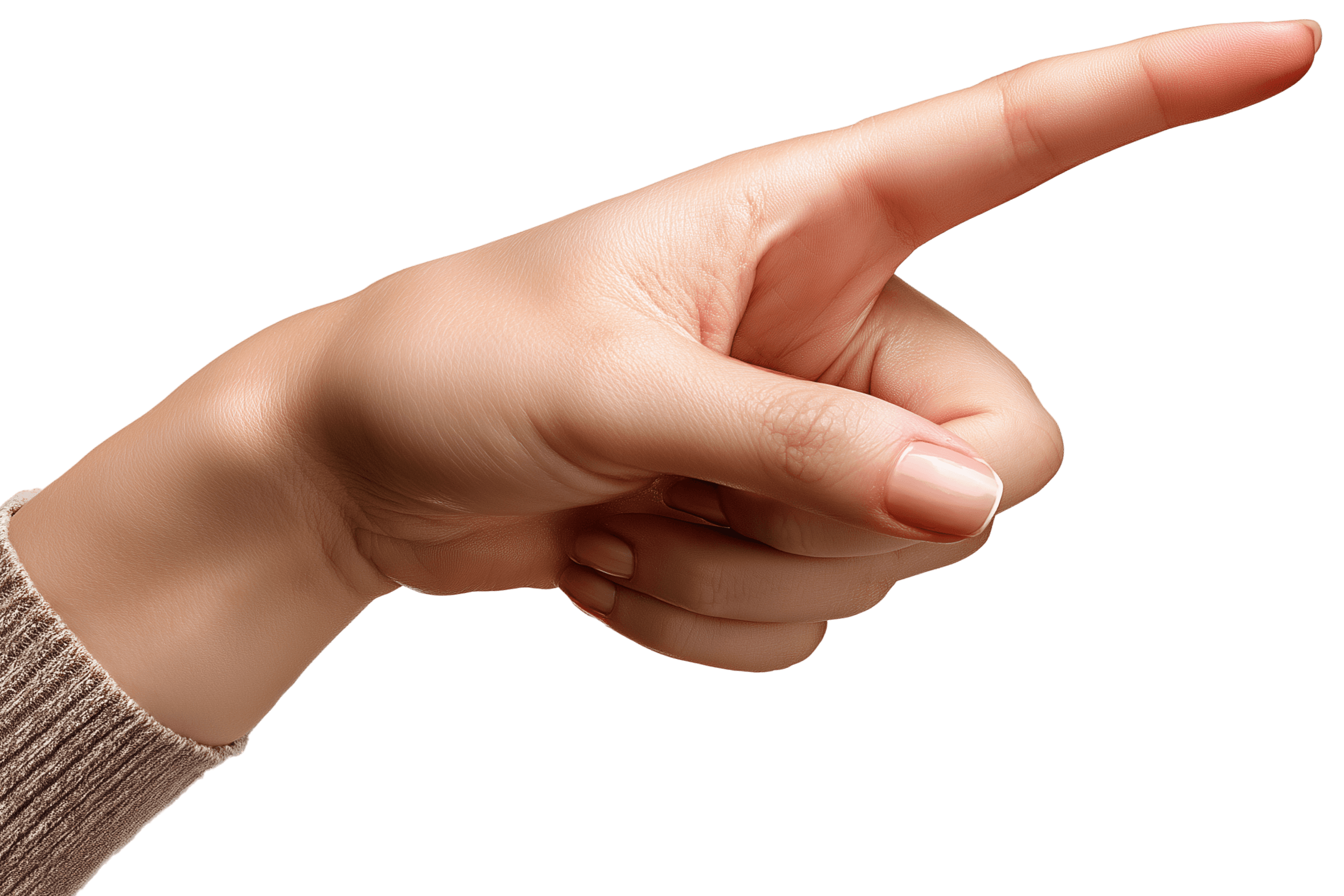 Human's hand