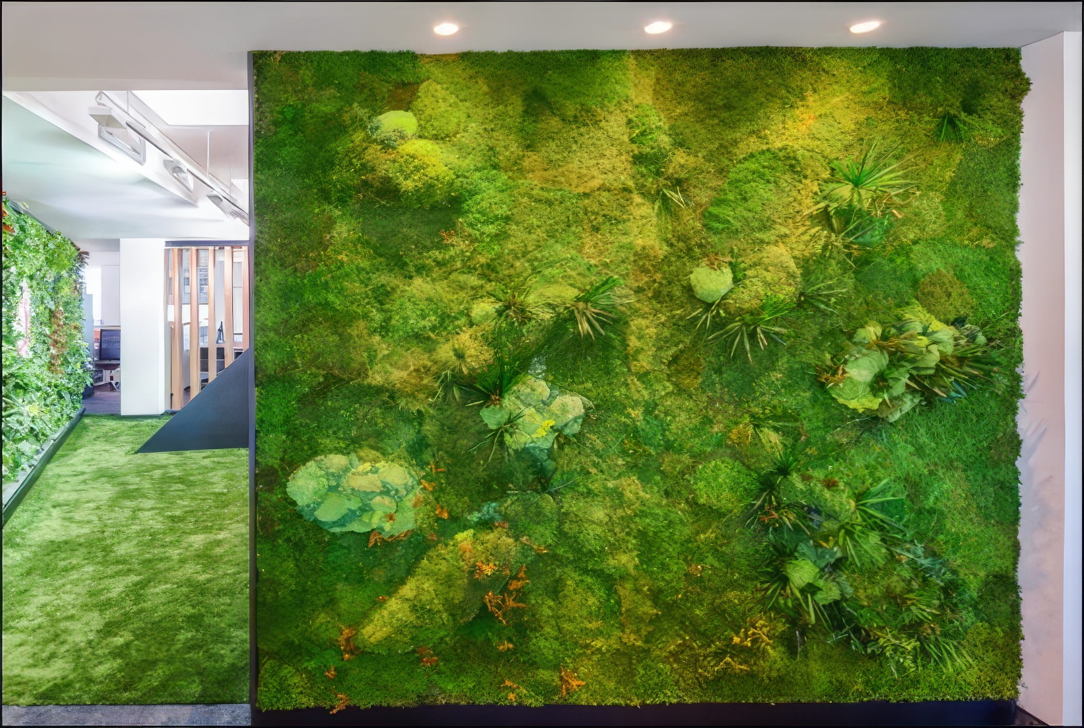 MW Interior - Großformatige Living Wall mit Moos, Farnen und tropischen Pflanzen als Raumtrenner in modernem Bürogebäude" Beschreibung: Beeindruckende vertikale Begrünung als raumgliederndes Element – eine dicht bepflanzte Mooswand mit verschiedenen Pflanzenarten schafft ein natürliches, wohltuendes Ambiente im Arbeitsumfeld und verbessert messbar das Raumklima.