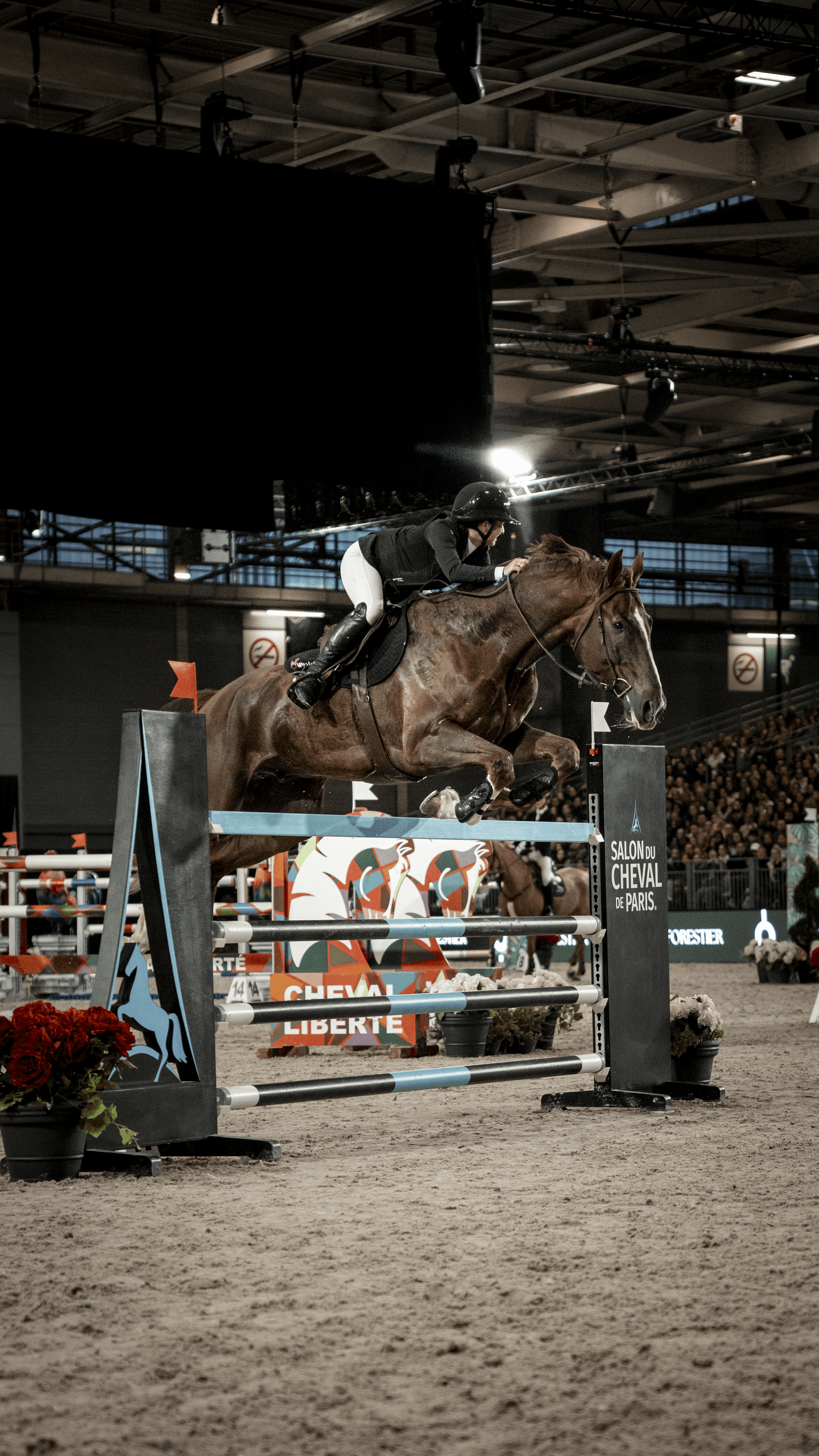 photographe-cavalier