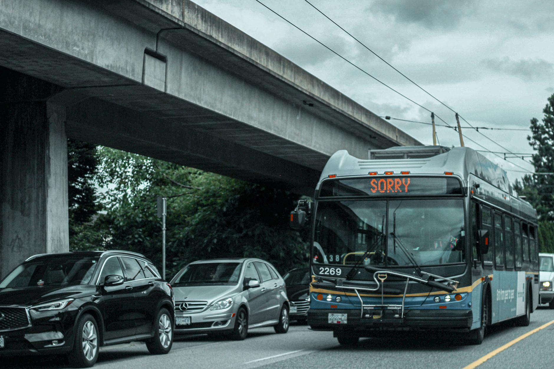 BYD lidera ônibus elétricos no Brasil: veja como a marca domina o transporte público