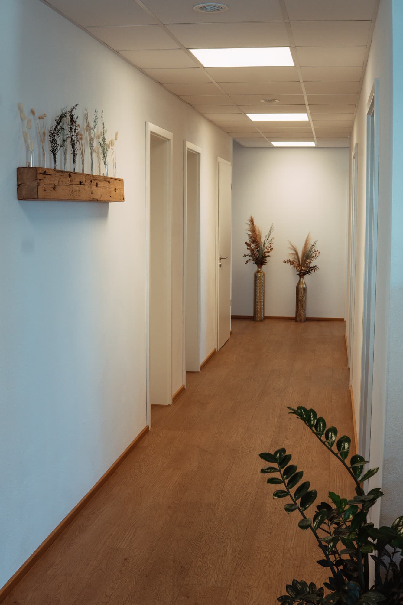 physiotherapie-fleissig-laeng-arnstorf-flur-praxisdesign