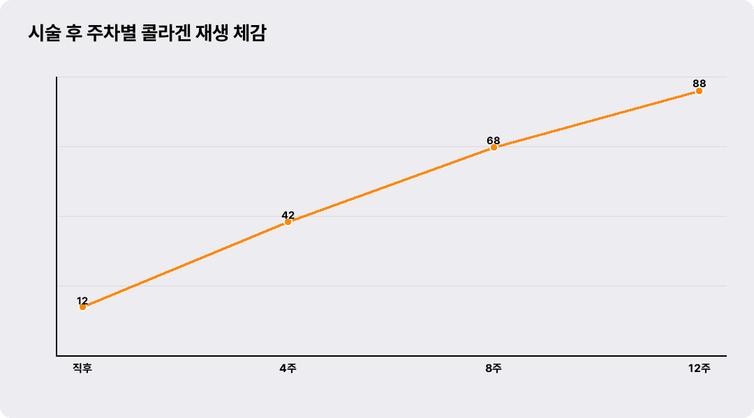 시술 후 주차별 콜라겐 재생 체감