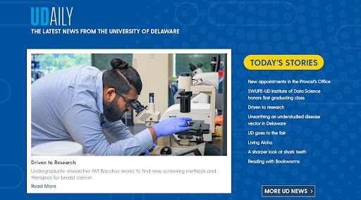 blue website color scheme