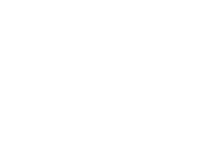 adidas logo