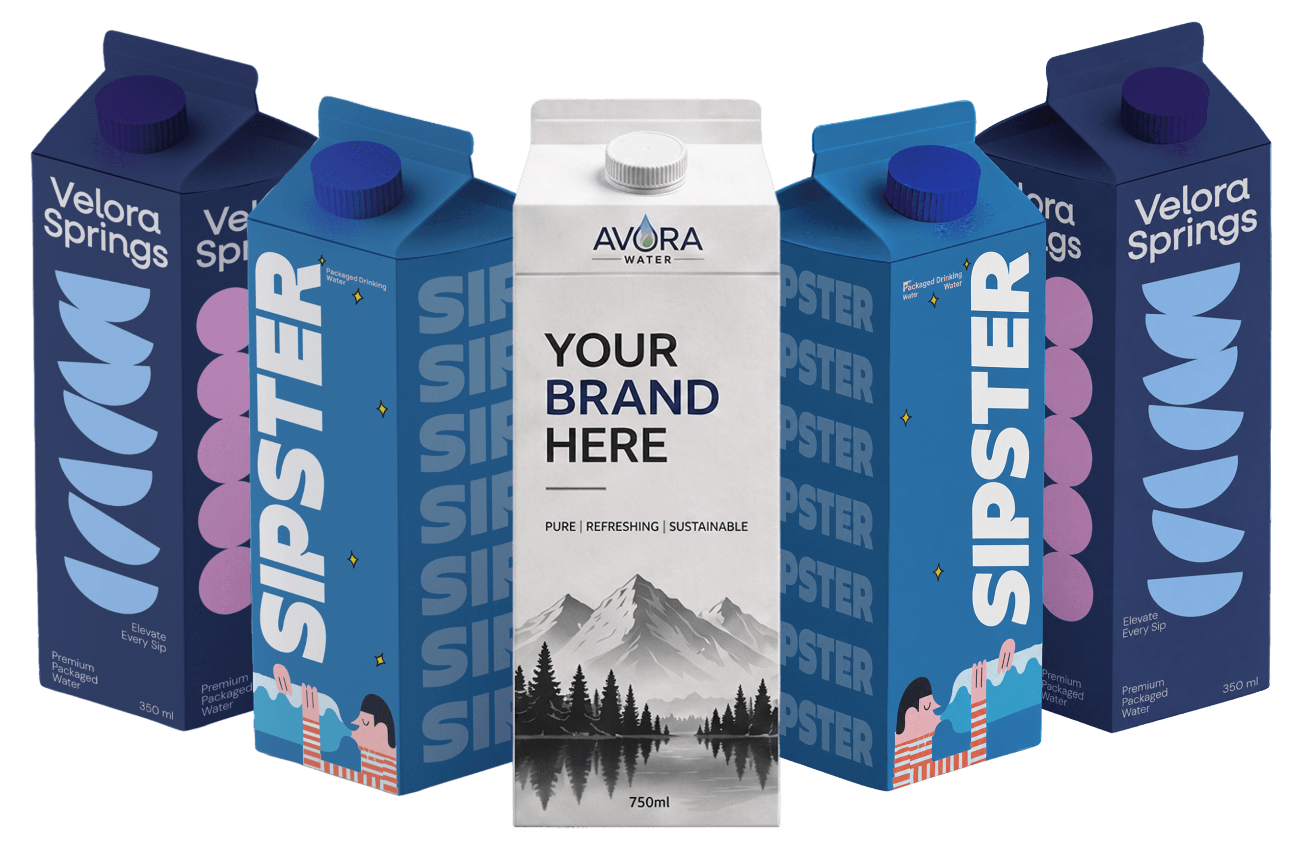Premium branded 750ml gable-top water cartons