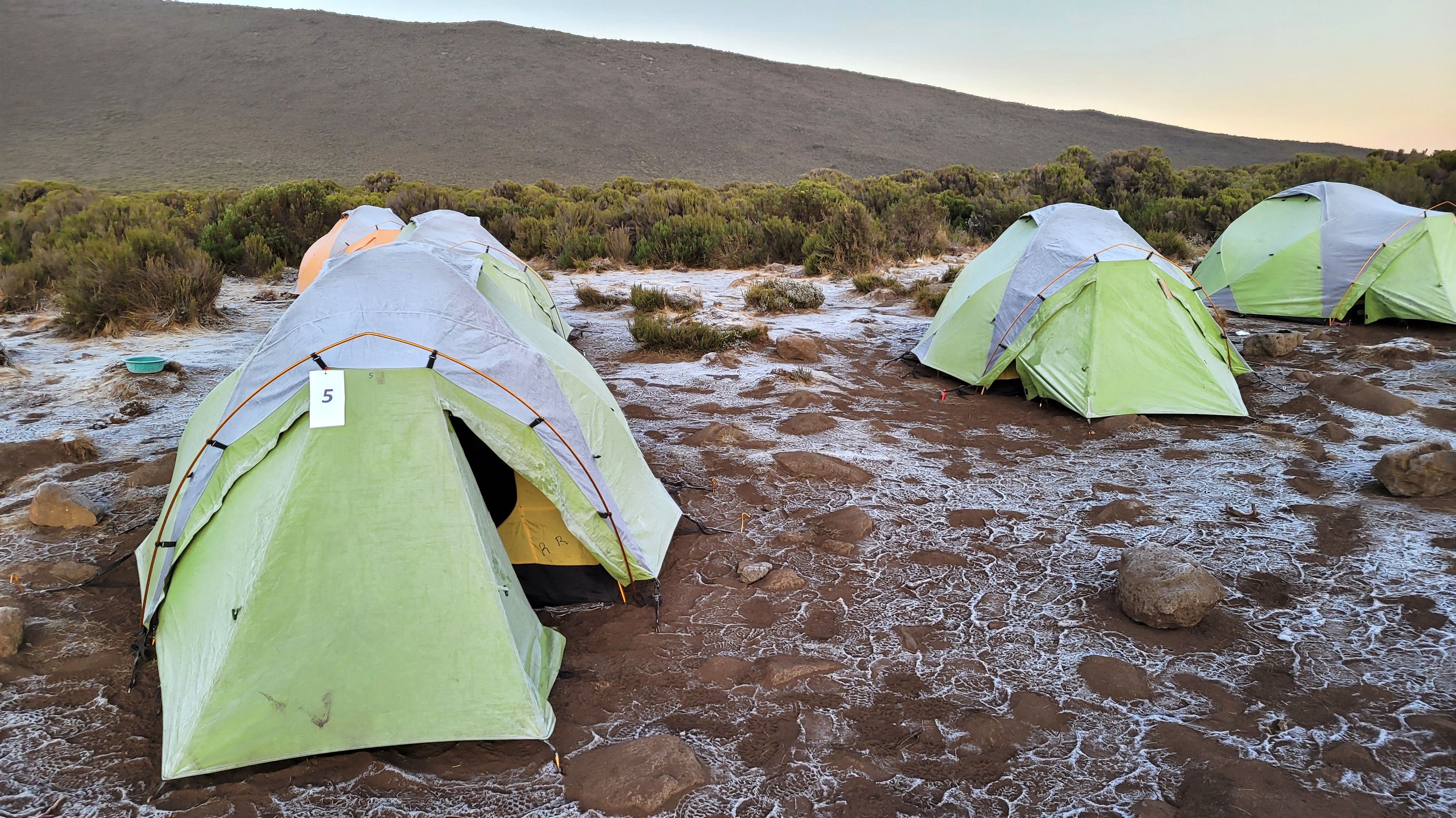 Moir Hut