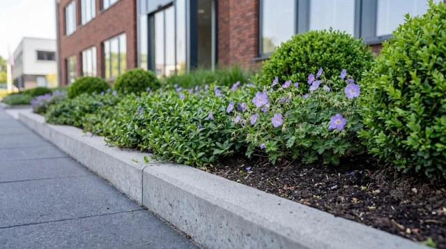 Kantoor met groene planten en paarse bloemen naast het trottoir.