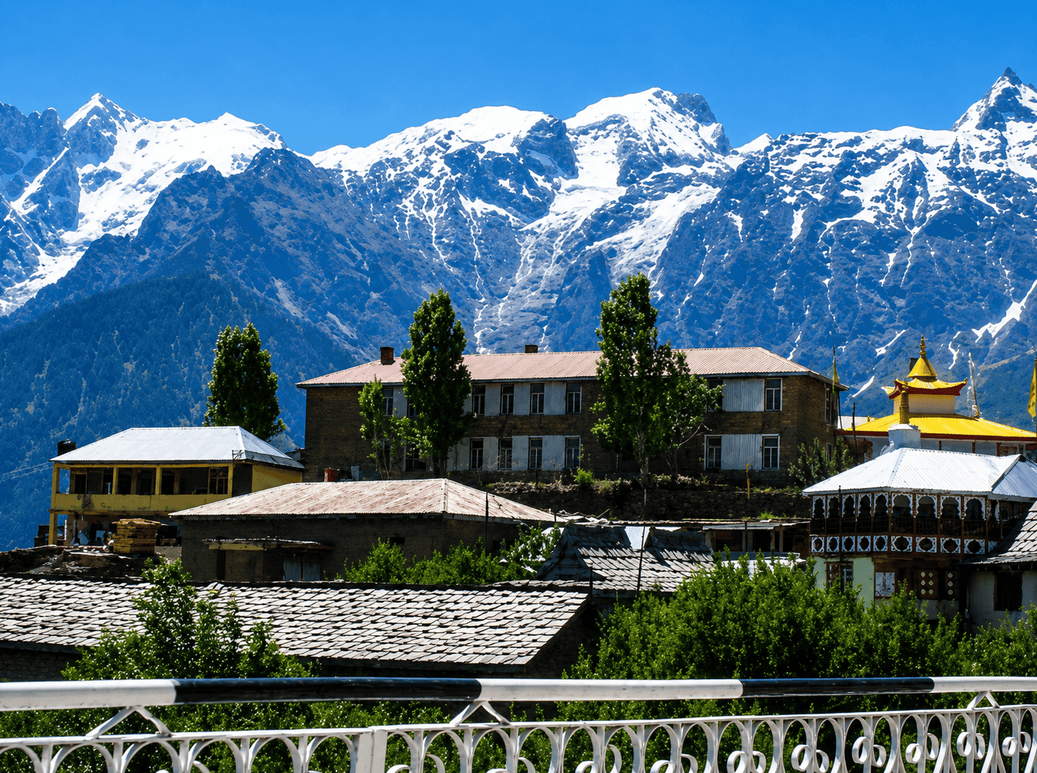 Wellness Dharamshala