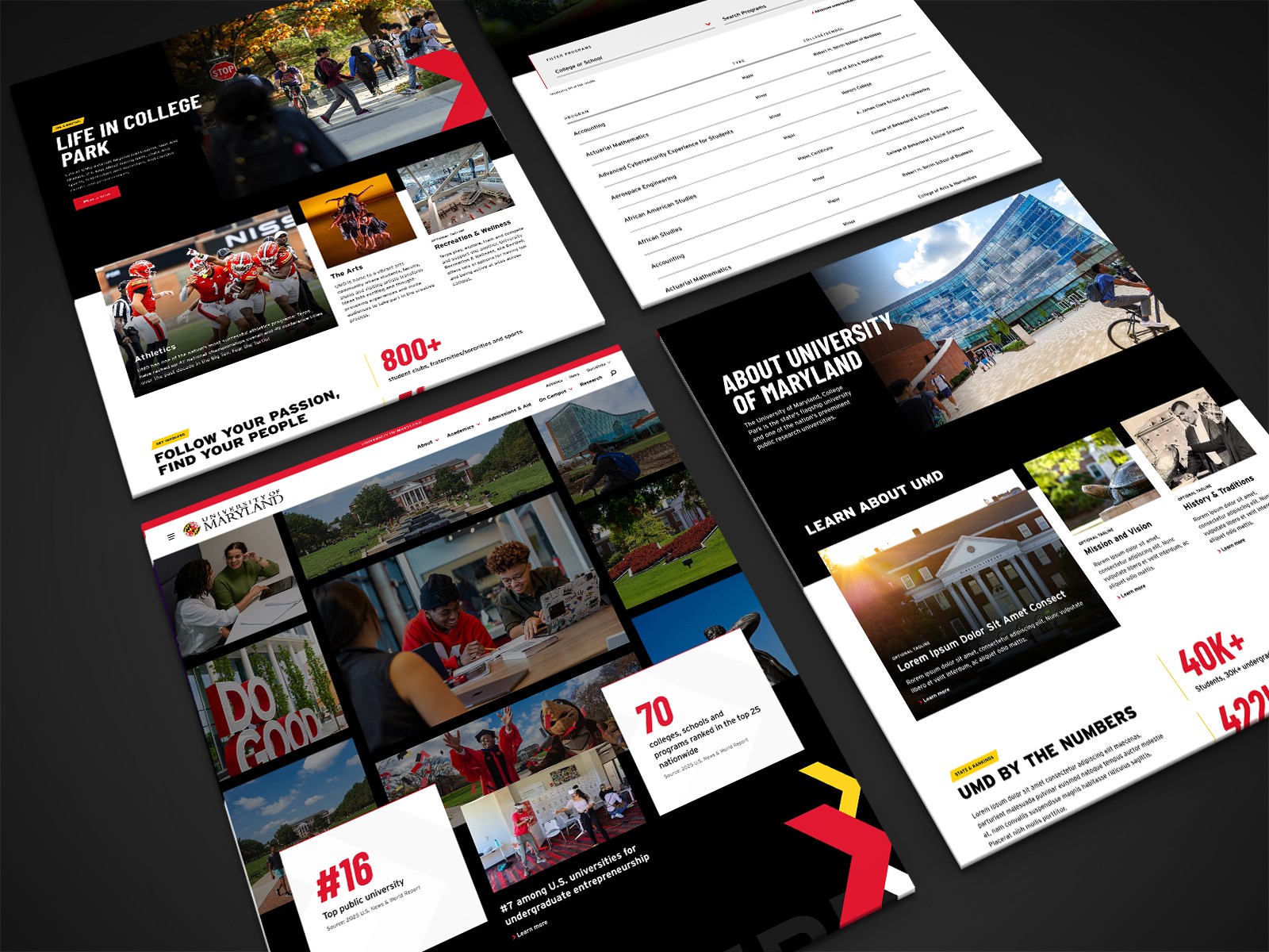 Project Gallery Image for 50% width of the screen #2