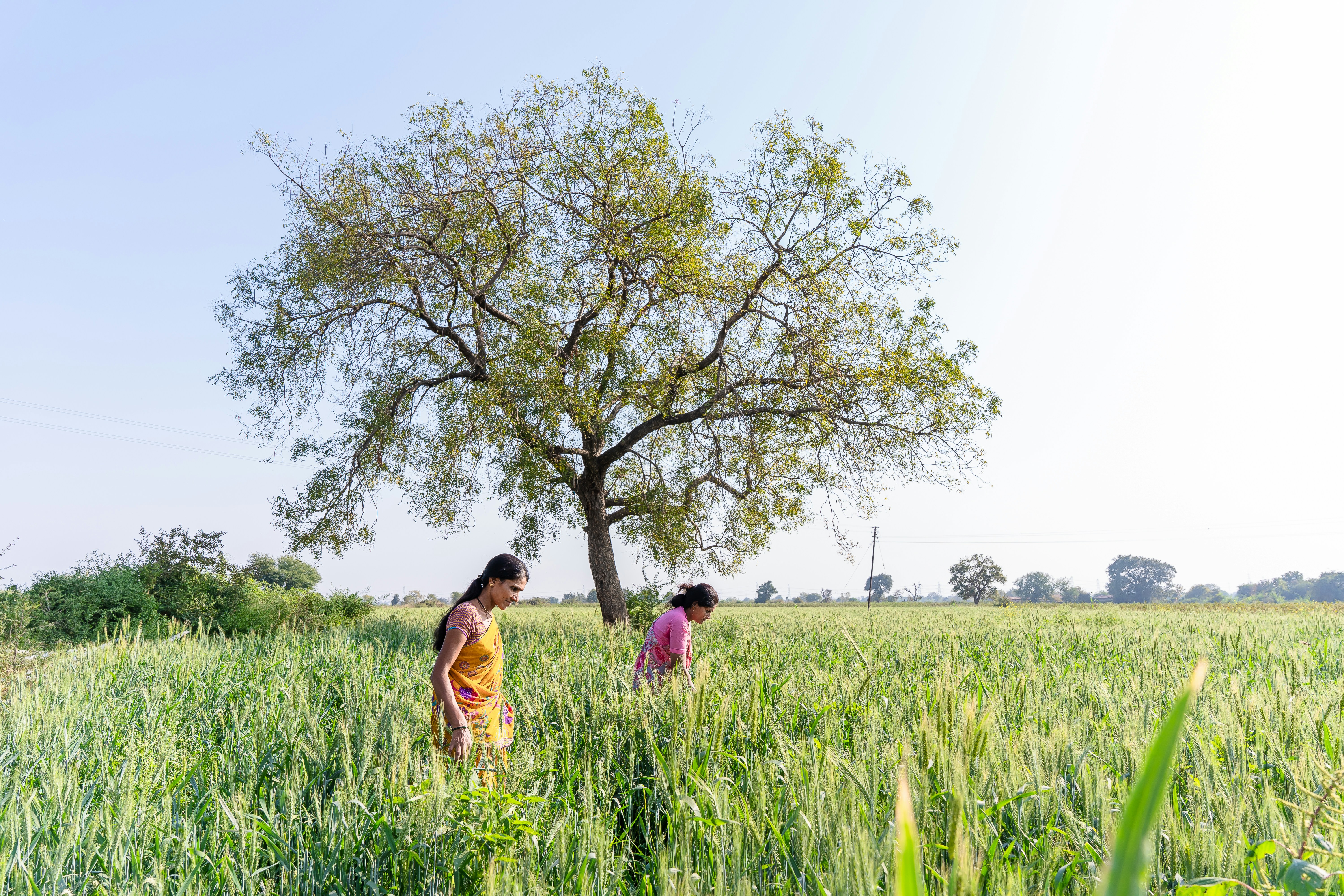 Women working on their farm