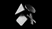 Plugin Logo