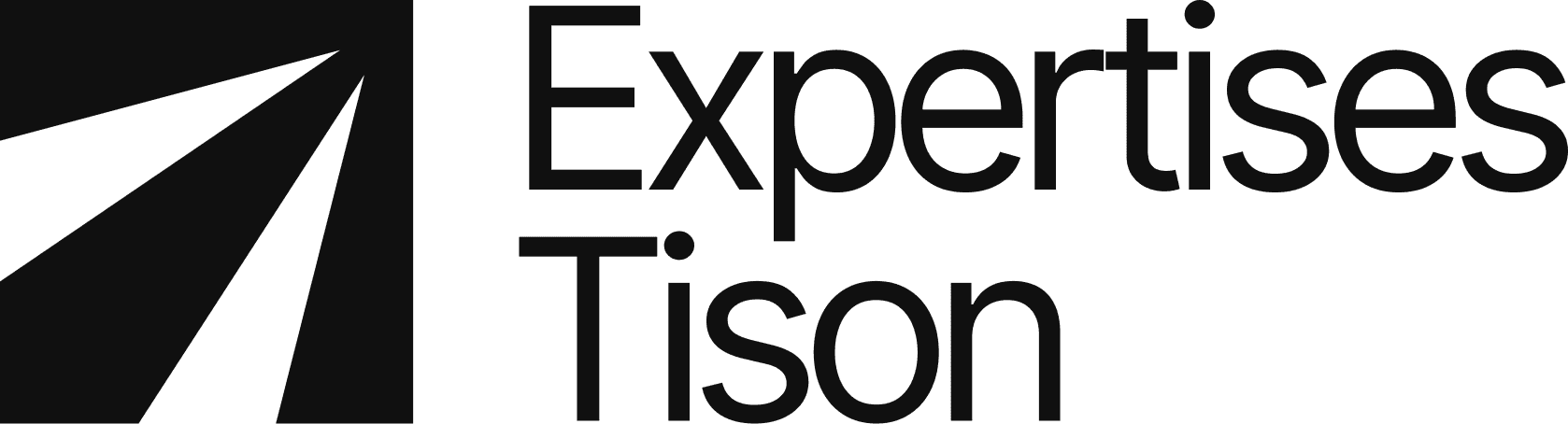 Logo expertises tison