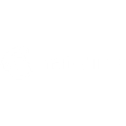 mailchimp-expert-elevate-media