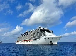 Green vineyards with a wide view of grape fields and natural landscape.