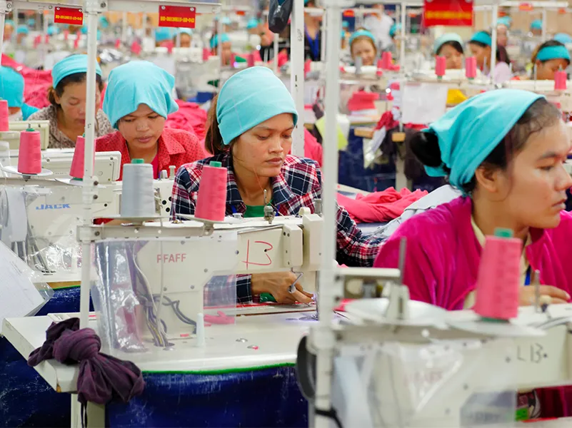 An apparel manufacturing factory sewing floor where all the workers are working on their sewing machines. All are women and they are focused on sewing products. They have blue head cover on their head. Sewing machines and germents are also visible 