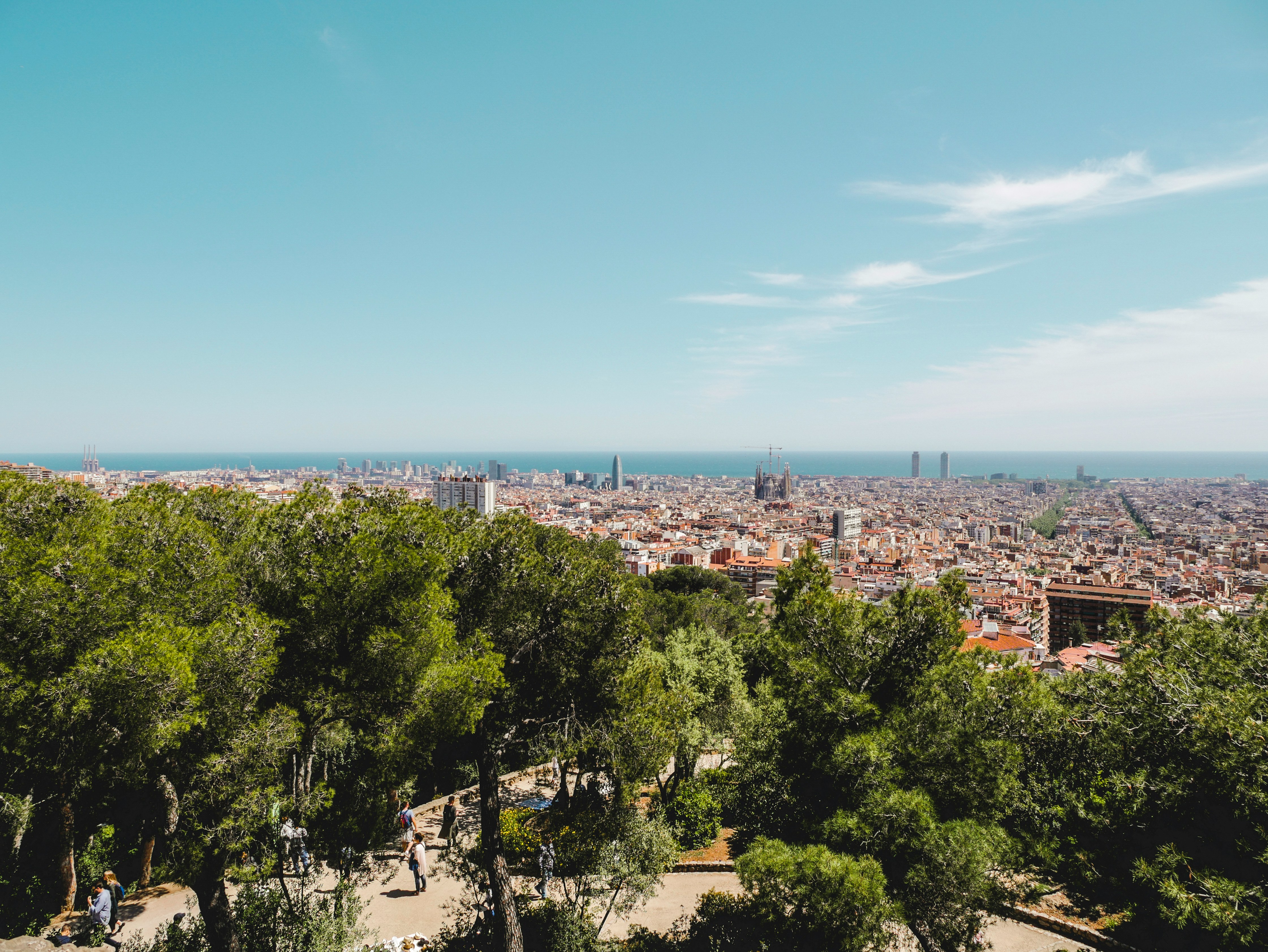 brown and black concrete buildings at daytime