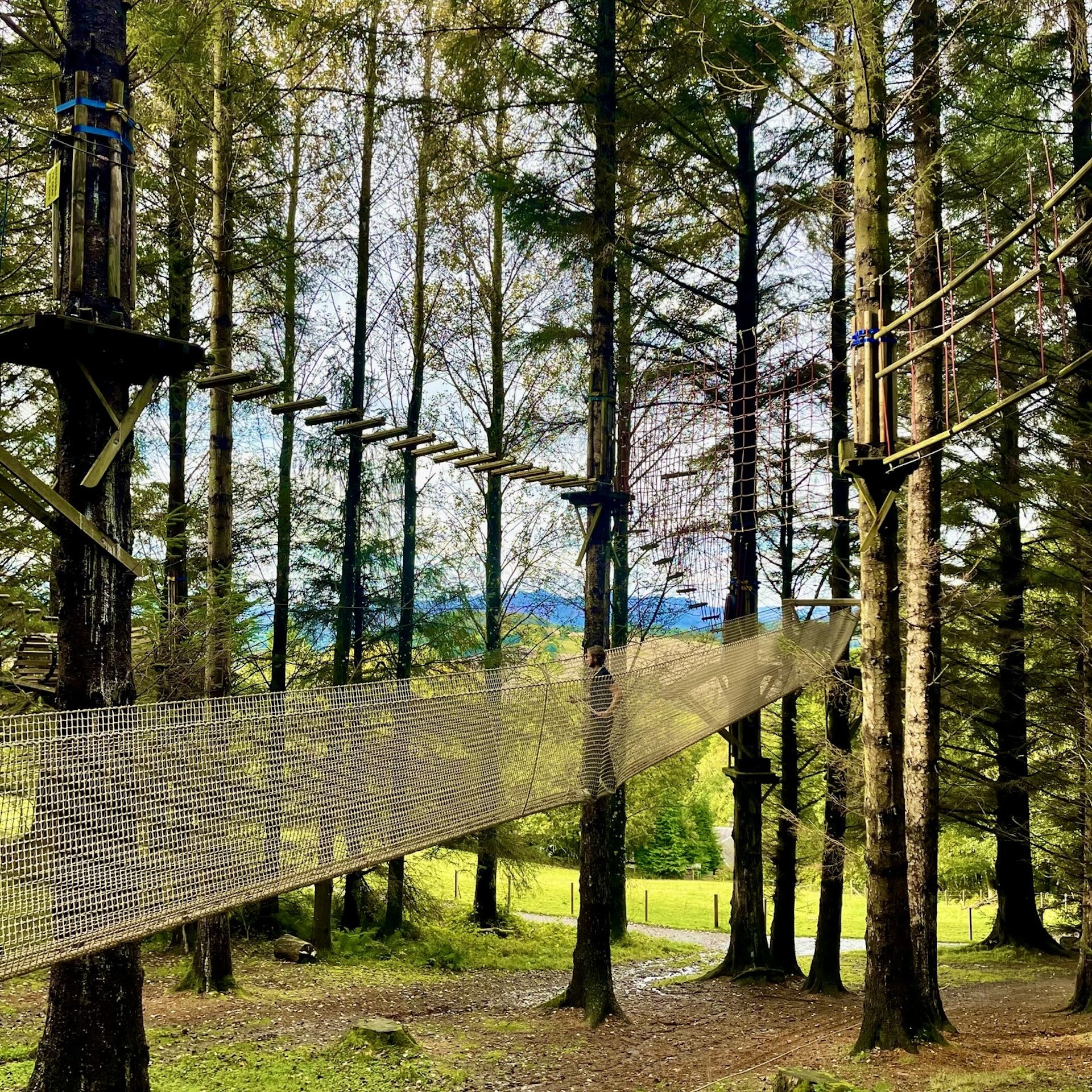 Streetside billboard with flyposters of the Batch.Works brand and illustrations