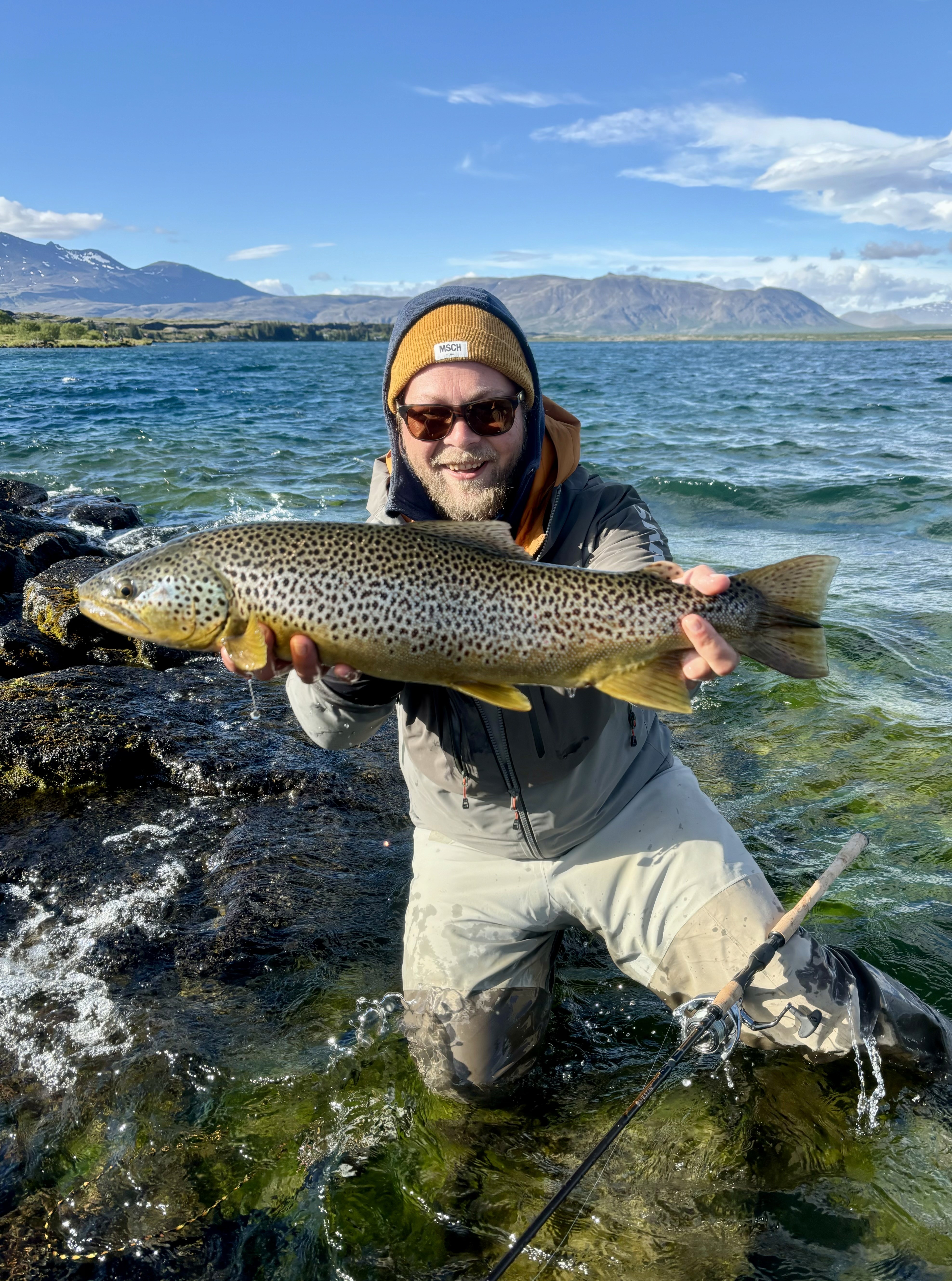 Island, Brown Trout, Arctic char, fjeldørred